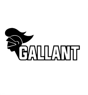 Gallant Esport