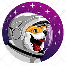 Dogestronauts